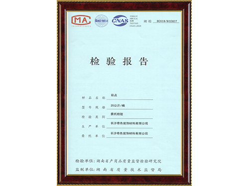 彩点-检验报告